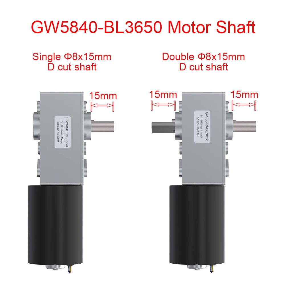 GW5840-BL3650 12V 24V 24W DC Brushless Worm Geared Motor 6 to 470RPM Reducer Electric Motor Double Shaft Support 18V 6V 5V Winch.