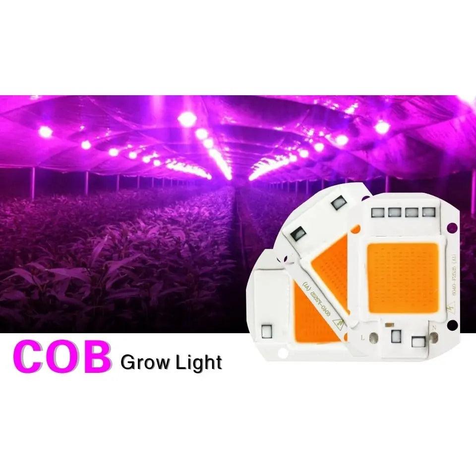 LATTUSO- 10pcs/lot COB LED Chip Phyto Lamp|  10W-50W optional - electrical center b2c