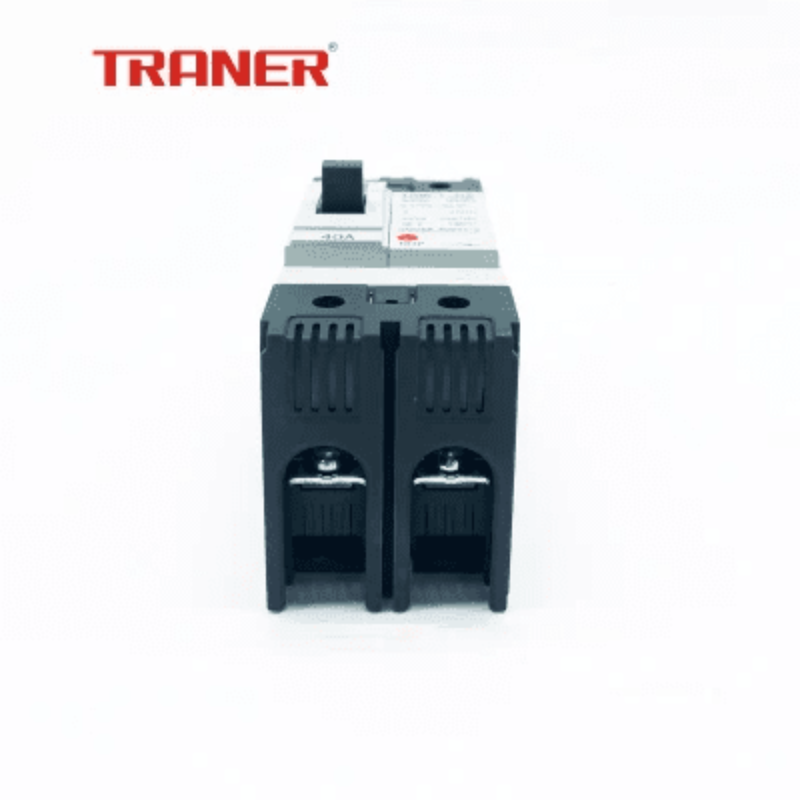 63a mccb,double pole main switch,2pole mccb,mccb 2p,main breaker switch