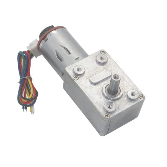 6V 12V 24V DC Gear Motor 6rpm 10rpm 18rpm 23rpm 30rpm 40rpm 90rpm 150rpm Self-lock Hall Encoder Worm Gearbox Reduction JGY370
