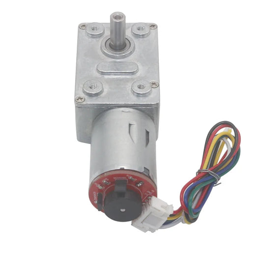 6V 12V 24V DC 6rpm 10rpm 18rpm 23rpm 30rpm 40rpm 90rpm 150rpm Self-lock Hall Encoder Worm Gearbox Reduction Motor JGY370 Geared