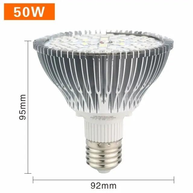 LED Grow Lights