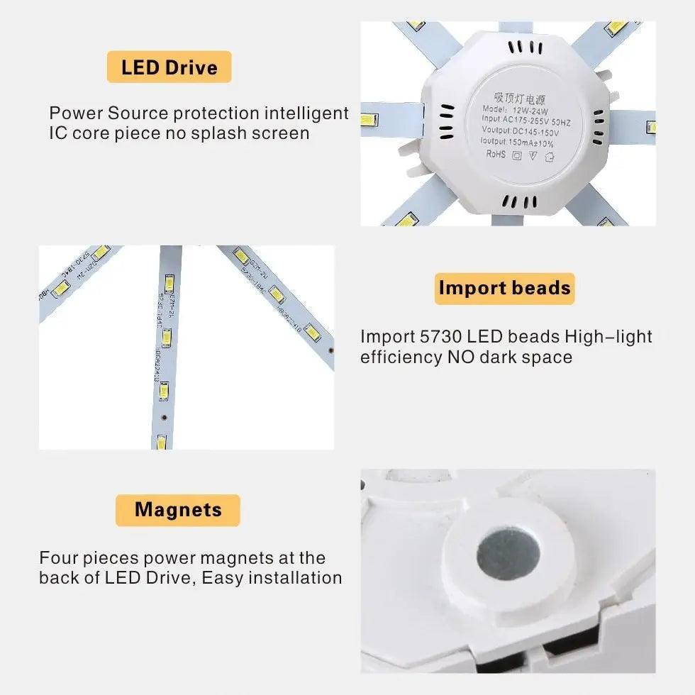 LATTUSO- LED Ceiling Lamp Octopus Light| 12W-24W Cold/Warm light optional - electrical center b2c