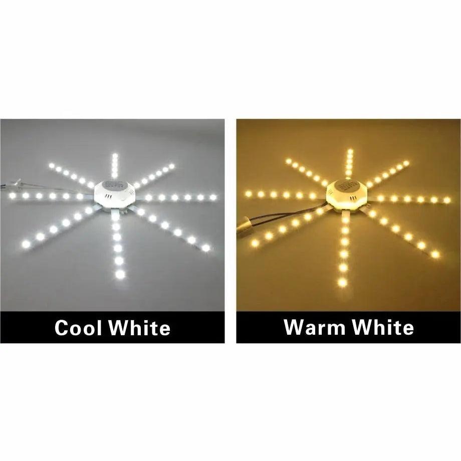 LATTUSO- LED Ceiling Lamp Octopus Light| 12W-24W Cold/Warm light optional - electrical center b2c