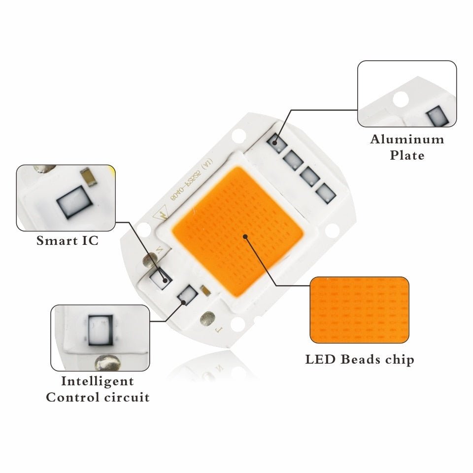 LATTUSO- 10pcs/lot COB LED Chip Phyto Lamp|  10W-50W optional.