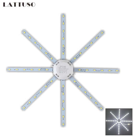 LATTUSO- LED Ceiling Lamp Octopus Light| 12W-24W Cold/Warm light optional.