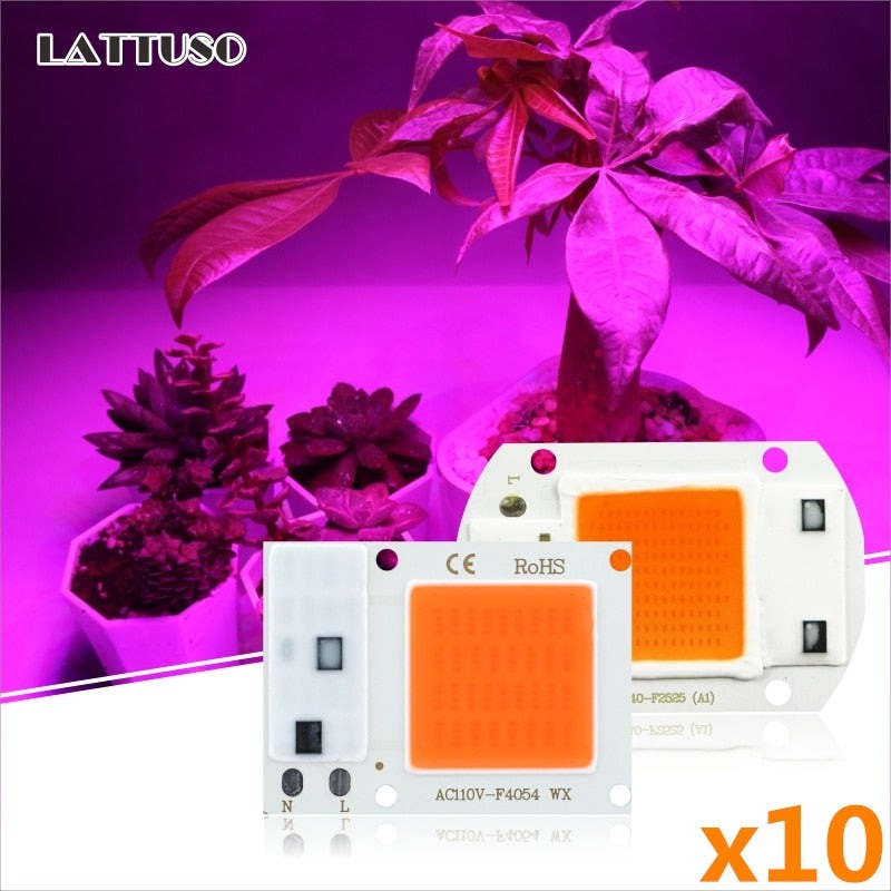 LATTUSO- 10pcs/lot COB LED Chip Phyto Lamp|  10W-50W optional.